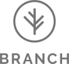 Branch Logo Startup Fractional CFO Services airCFO 